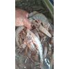 Camarão Pistola Limpo (500g)
