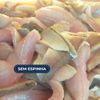 Filé de pescadinha (1kg)