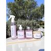 Linha Casa Encanto - Lavanda e Vanilla
