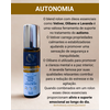 Blend Terapêutico Autonomia - rolon 10ml