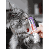 Churu para Gatos Frango com aroma de Camarão