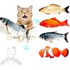Peixe Elétrico Recarregável