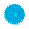 BOLA JAMBO TRP AZUL ESPINHO COM SOM G
