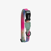 COLEIRA PARA CACHORROS ZEE DOGBLISS P