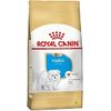 ROYAL CANIN CAES FILHOTES RAÇAS MALTES 1KG