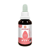 FLORAL PETHERAPY CARENCIA E SOLIDAO 30ML
