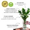 Vaso de Vidro Canelado Slim 20cm - 750ml