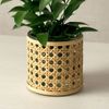OUTLET Vaso de Vidro com Capa de Palhinha Sisal Vaso Pequeno