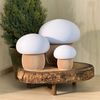 Kit 3 Recipientes Decorativos em Formato de Cogumelos