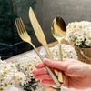 Faqueiro 18 Peças De Aço Inox  Dourado Positano Premium - Lyor