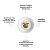 Prato de Sobremesa de Porcelana Tangerina - Coleção Tangerinas