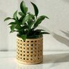 OUTLET Vaso de Vidro com Capa de Palhinha Sisal Vaso Pequeno