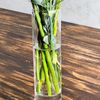 Vaso de Cristal Slim - 22cm
