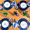 Kit 4 Pratos de Sobremesa de Porcelana Peixe e Mar - Coleção Peixes