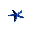 Estrela do Mar Azul Marinho - Coleção Peixes