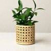 OUTLET Vaso de Vidro com Capa de Palhinha Sisal Vaso Pequeno