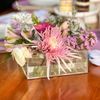 Kit 2 Vasos De Acrílico Quadrado Para Flores E Água 16 Furos