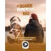 Roteiros de Viagem Pet - 10% OFF