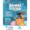 Serviços de Dog SPA - Banho e Tosa Premium