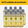 Kit Viver de Kombucha Maracujá Garrafa 400ml