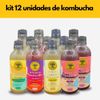 Kit Mix com 12 Viver de Kombucha Sabores Sortidos de 400ml