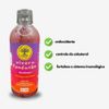 Kit Kombucha Limão e Morango 12 unidades 400ml