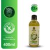 Kombucha de Menta e Matcha 12 unidades