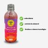 Kit Mix com 12 Viver de Kombucha Sabores Sortidos de 400ml