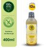 Kit Viver de Kombucha Maracujá Garrafa 400ml