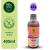 Kit com 12 Viver de Kombucha Sabor Uva 400ml