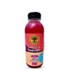 Kit com 12 Viver de Kombucha Sabor Uva 400ml