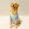 Moletom Barilo Woofbox Verde E Lilás Para Cães