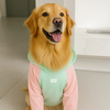 Moletom Barilo Woofbox Verde E Rosa Para Cães