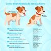 Moletom Barilo Woofbox Verde E Rosa Para Cães