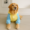 Moletom Barilo Woofbox Amarelo E Azul Para Cães