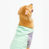 Moletom Barilo Woofbox Verde E Lilás Para Cães