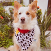 Bandana Xerife 