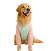 Moletom Barilo Woofbox Verde E Rosa Para Cães