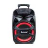 Caixa Amplificada ACA 480 Viper II 480W Amvox