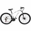 Bicicleta Aro 29 Aco Mtb Flash Masc 21V F.D Branco Ciclo Cairu