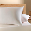 Protetor De Travesseiro Antimicrobial 230 FIOS BRANCO Altenburg