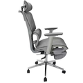 Cadeira Para Escritorio Ergonômica Premium Ajuste Lombar Cinza Mesh