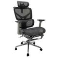 Cadeira Para Escritorio Ergonômica Premium Ajuste Lombar Cinza Mesh