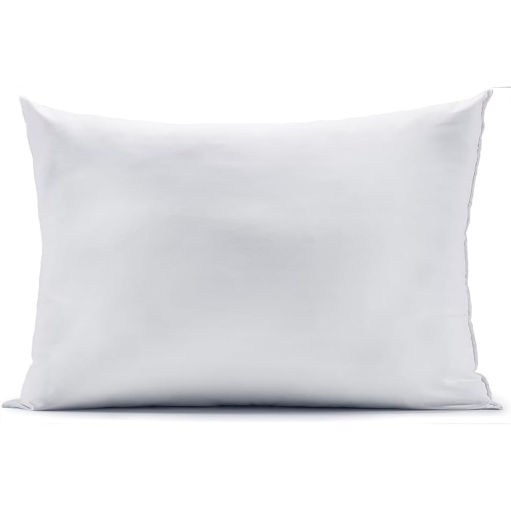 Travesseiro Toque De Pluma Branco Altenburg