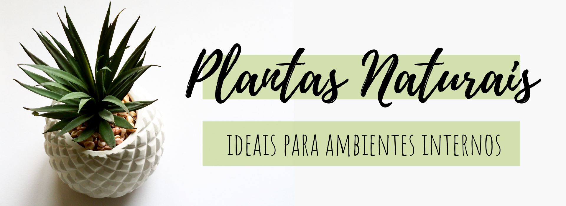plantas naturais