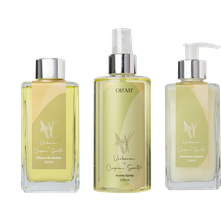 Kit Linha Home Verbena e Capim Santo Premium