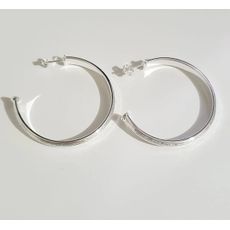 Argola Média Prateada (pino)