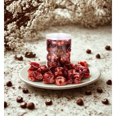 Caixa Bombom Vegano Creme de Avelã - 180g - Tnuva