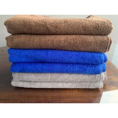 PANO\/TOALHA MICROFIBRA 60x100