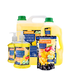 SABONETE LIQUIDO 1L LNN SPA ALCACUZ E MANGA C10623